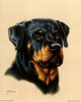 ROTTWEILLER